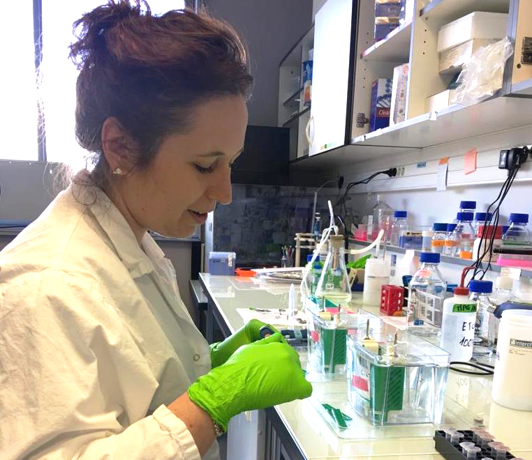 /></noscript></p>
<p>Grazie a questo bando, avrò la possibilità di svolgere il mio progetto di ricerca nel team guidato dalla professoressa Michela Matteoli; in particolare studierò le <strong>conseguenze fisiologiche e patologiche</strong> della <strong>SUMOilazione di Pcdh10</strong> sulla <strong>formazione delle sinapsi</strong> tramite sofisticati metodi biochimici e avanzate tecniche di microscopia.</p>
<p>Negli ultimi anni si è molto studiato il ruolo della SUMOilazione sulla comunicazione neuronale e si è scoperto come un’alterata SUMOilazione di proteine chiave del sistema nervoso centrale possa portare allo sviluppo di serie patologie come il Parkinson, l’Alzheimer e l’autismo.  Pertanto, il progetto SUMO-PCDH10, studiando l’effetto che la SUMOilazione ha sull’attività della Pcdh10 e sul suo eventuale coinvolgimento nella patogenesi dell’autismo, fornirà <strong>nuovi possibili target terapeutici</strong> per pazienti con mutazioni su Pcdh10”, ha spiegato la dottoressa Folci.</p>
<h2 id=