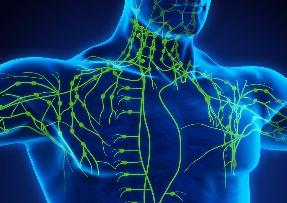Linfonodi ingrossati cosa fare in caso di linfoadenomegalia Humanitas