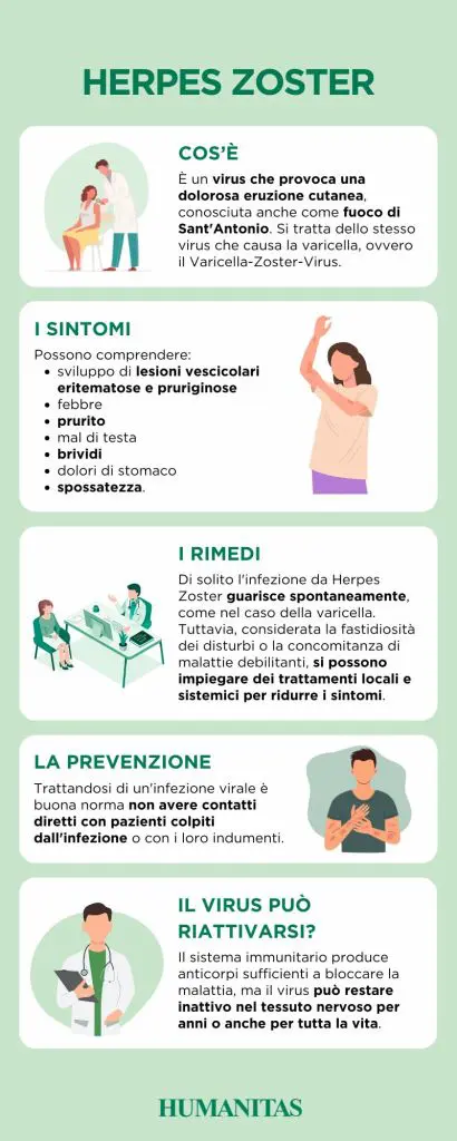 Infografica su herpes zoster fuoco di sant'antonio, sintomi, cause e rimedi