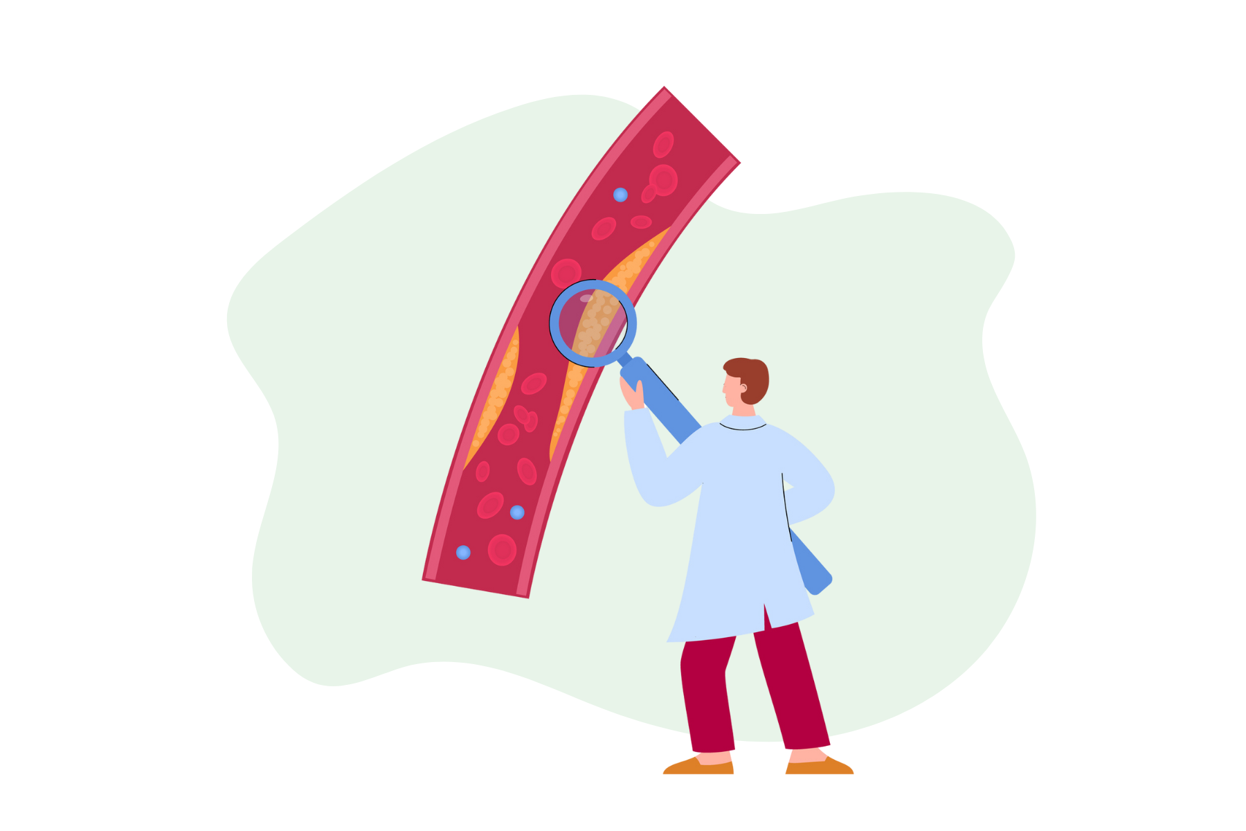 Colesterolo HDL e colesterolo LDL: le differenze